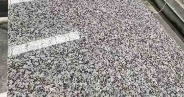 衡阳 芙蓉白光面