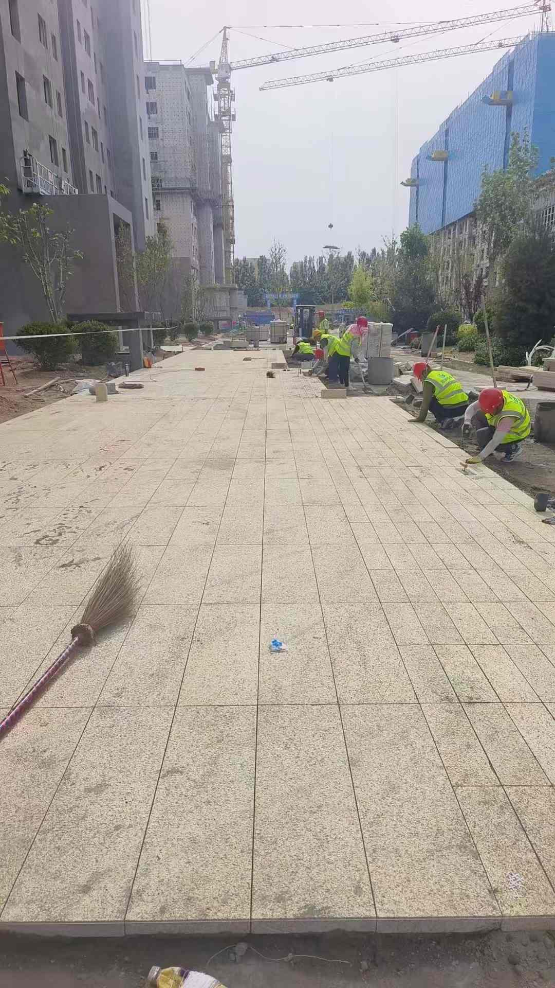 衡阳黄金麻荔枝面地铺案例