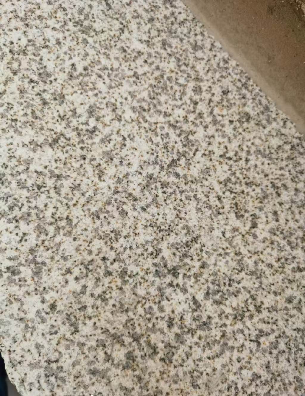 衡阳 黄金麻中黄光面